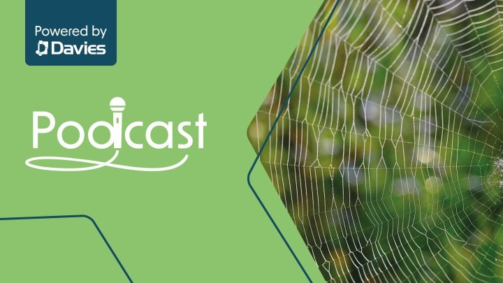 Keoghs Podcast Thumbnails Tangled Web