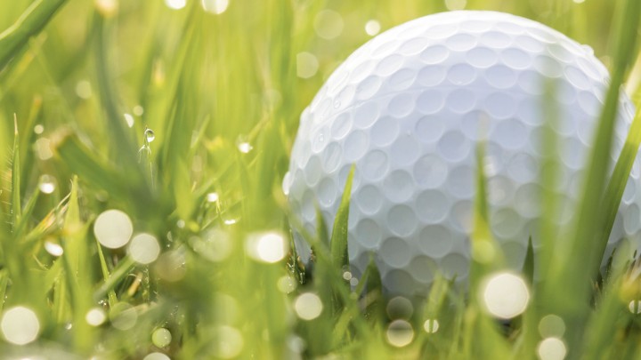 Golfers’ claim not par for the course