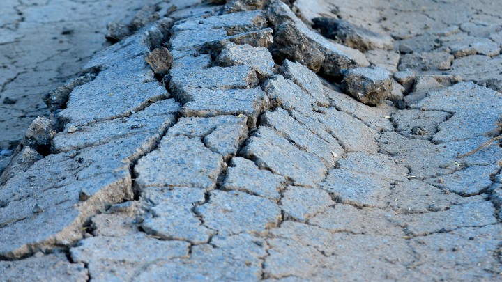 Occupier's liability: where do you stand or fall?