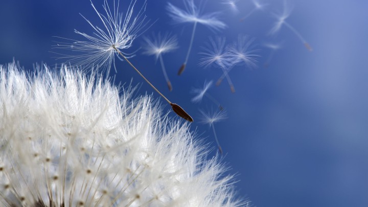 The Market: Which way is the wind blowing?