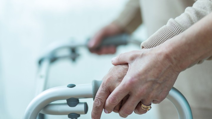 The statute of liberty