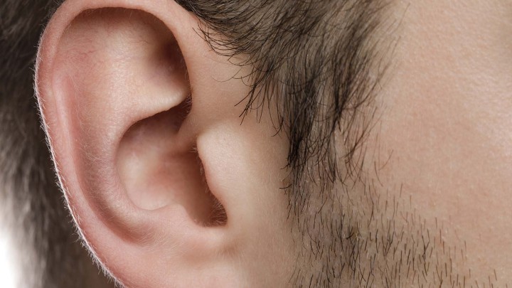 Hearing loss and quantum: When the Audiogram is Not the Whole Story.