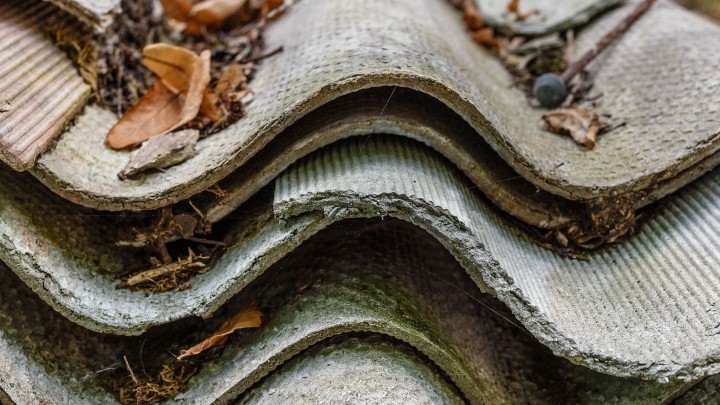 Mesothelioma and Low Level Exposure – The Lost Cause Revived