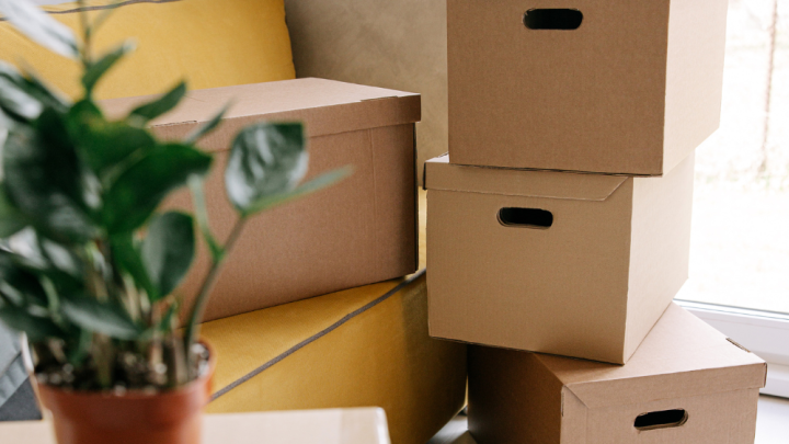 Boxes